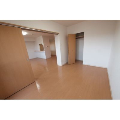 洋室収納です。