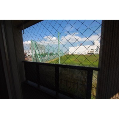 窓からの眺望、遮るもの有りません。
