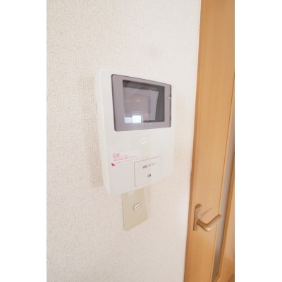 モニターフォンです。