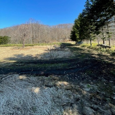  この地域の土地参考価格
北海道北広島市中の沢372番2