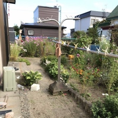 手入されたお庭です。