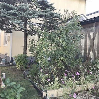 お庭