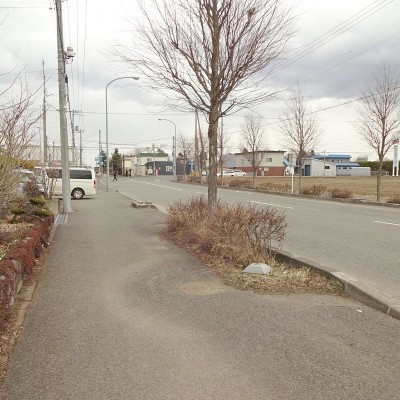 前面道路は幅員20mあります