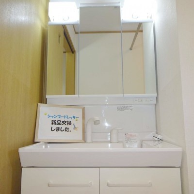 シャンプードレッサー新品交換済