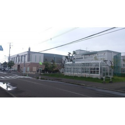 札苗緑小学校