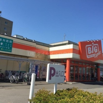 ザ・ビッグ エクスプレス平岸店
