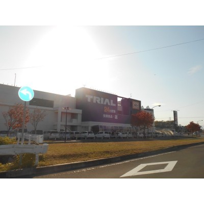 トライアル