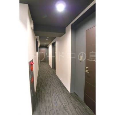 詳細は、ウィンドワード中の島店までご相談下さい。