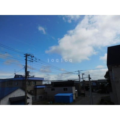 バス