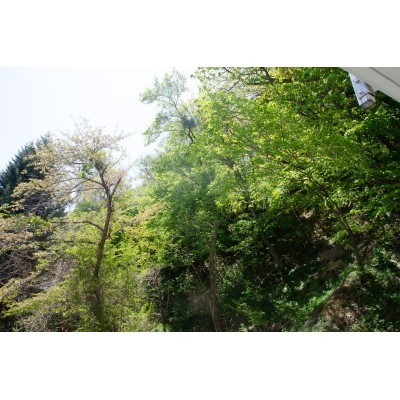 ベランダからの景色