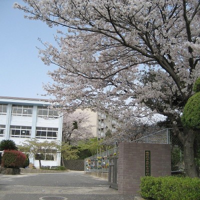 祗園小学校