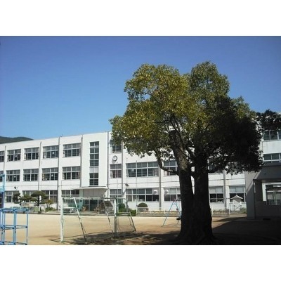 detached この地域の土地参考価格
長崎県佐世保市皆瀬町81番地2
