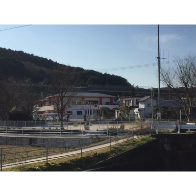 有福保育園