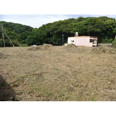 東側より撮影