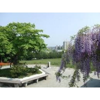 吉田川公園まで1810m