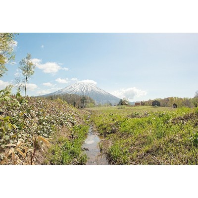 敷地内に流れる小川と羊蹄山