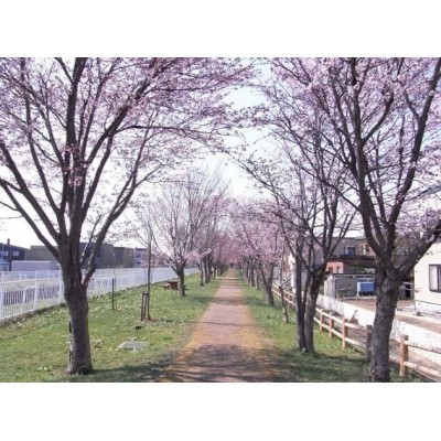 山七公園まで708m