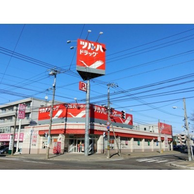 ツルハドラッグ南14条店