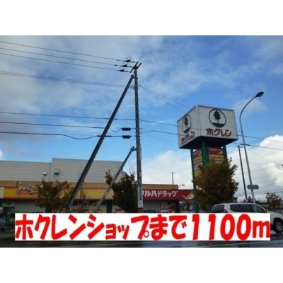 ホクレンショップ北49条店まで1100m