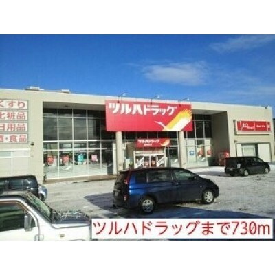 ツルハドラッグまで730m