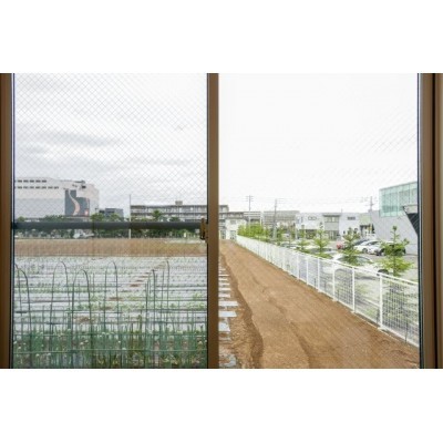 同建物2階からの景色です