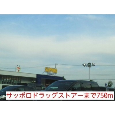 サッポロドラッグストアーまで750m