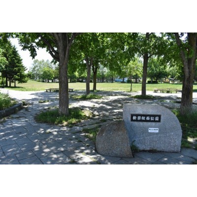 新琴似西公園