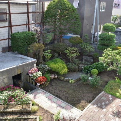 庭