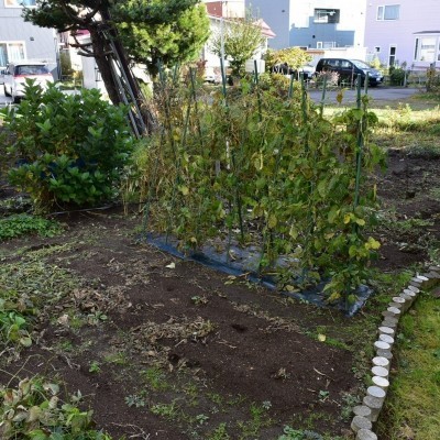 家庭菜園