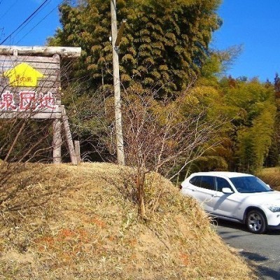 この看板が目印