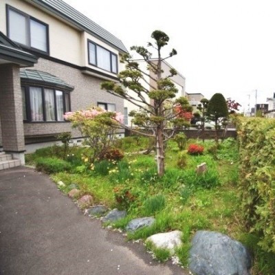 南西向きの庭で、様々な種類の植物が育てられそうですね。