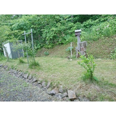 裏庭です。