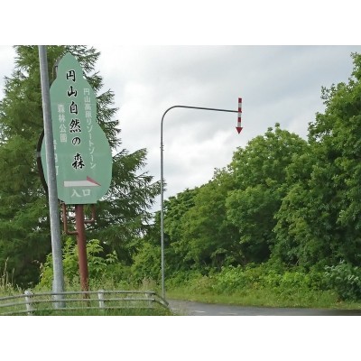 入り口です。