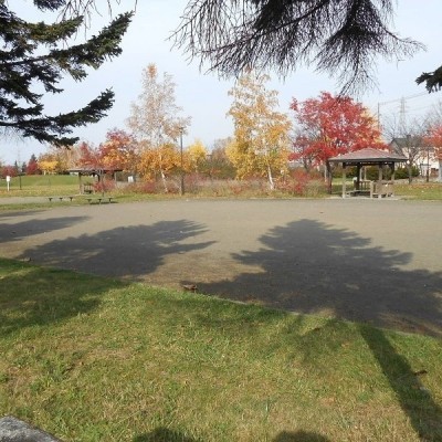 公園の様子