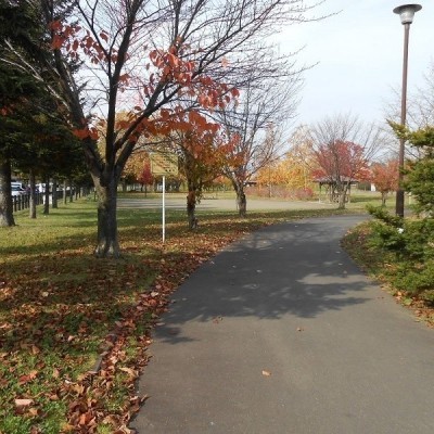公園の様子