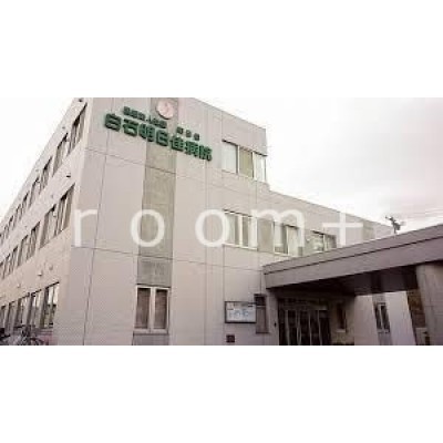 医療法人社団明日佳白石明日佳病院