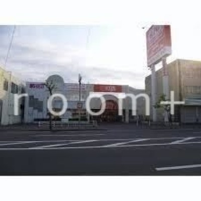 ザ・ビッグエクスプレス白石中央店