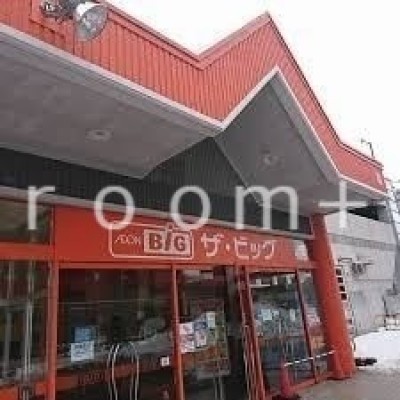 ザ・ビッグ豊平店