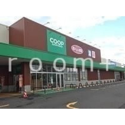 ダイソーコープさっぽろほんどおり店