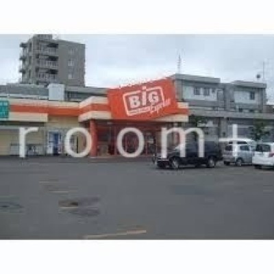 ザ・ビッグエクスプレス平岸店