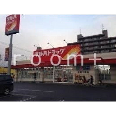 ツルハドラッグ平岸店