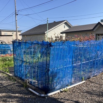 家庭菜園やガーデニングを思いっきり楽しめます♪