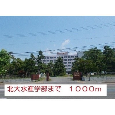 周辺環境②