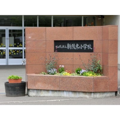 札幌市立 新陵東小学校まで511m