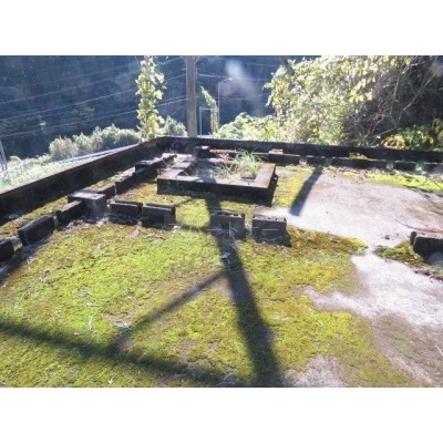 屋上
