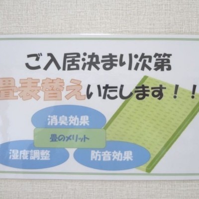 畳はご入居が決まり次第表替えいたします!