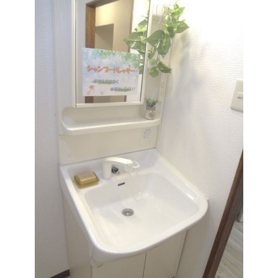 シャンプードレッサー