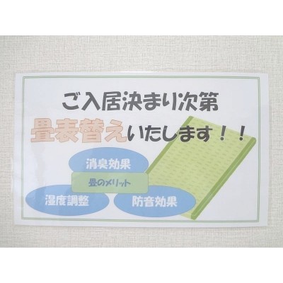 畳の表替え行います✨