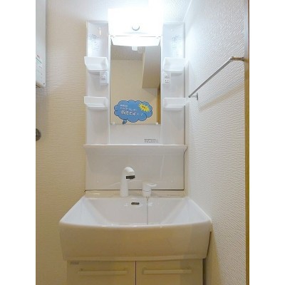 シャンプードレッサー