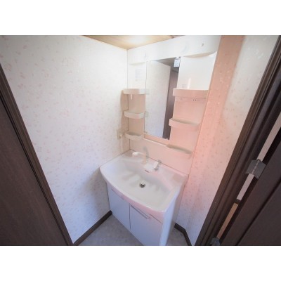 広い洗面室にはシャンプードレッサー